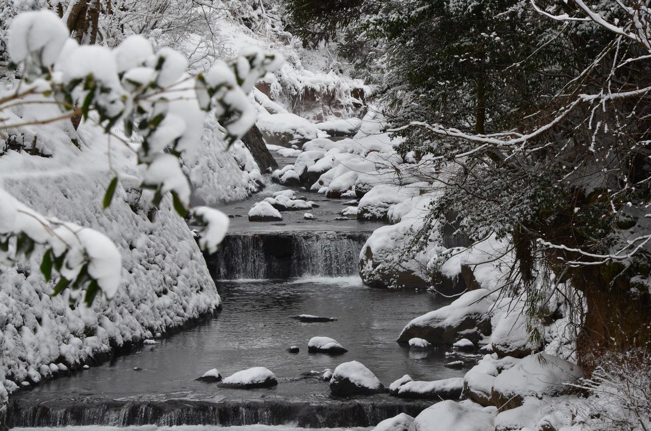 فندق Kurokawa Onsen Oku No Yu ميناميوغوني المظهر الخارجي الصورة